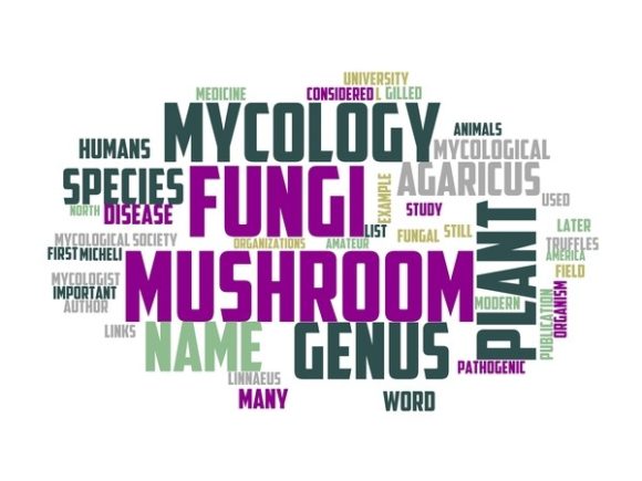 Myology Typography Tie Dye: Hand-Drawn Word Clouds That Inspire Real Creative Projects