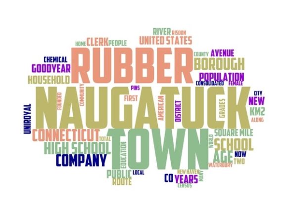 Naugatuck Typography Banner