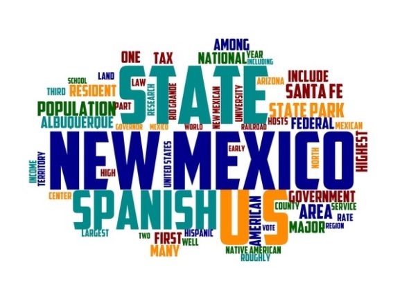 New Mexico Typography Tshirt